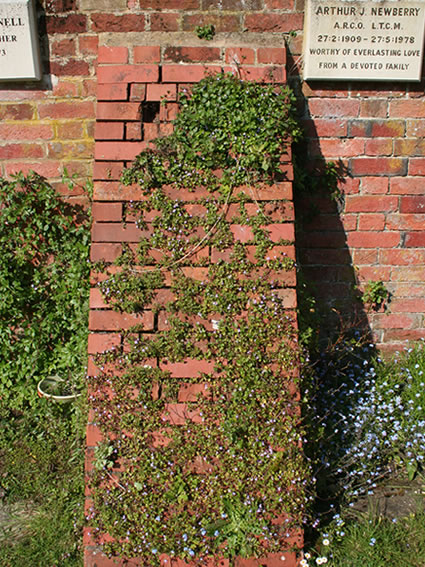 Before repairs to Grade I listed buttress